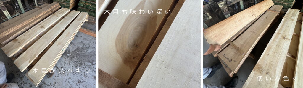 神戸市のイチョウ(銀杏)の木がやってきたのでいちょうの木を真剣に調べ 