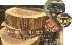 ひのきの丸太の輪切りあります❢売切れ御免❢❢　　KOBE WOOD